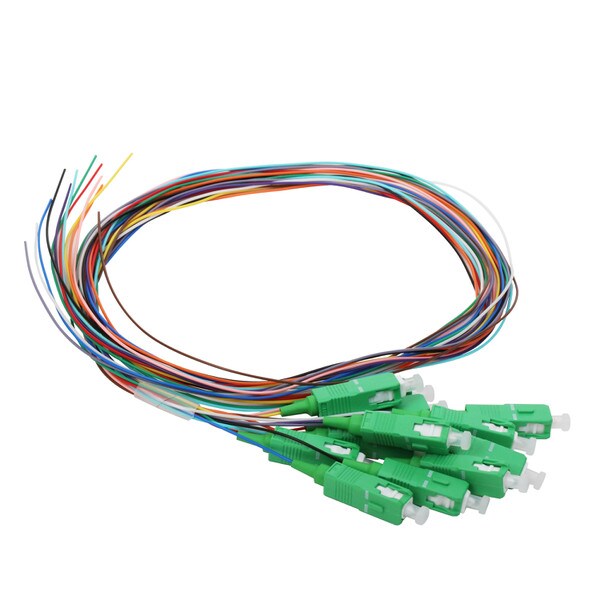 12 Fiber Pigtail, SC/APC, 900 µm, 9 µm OS2, 1m